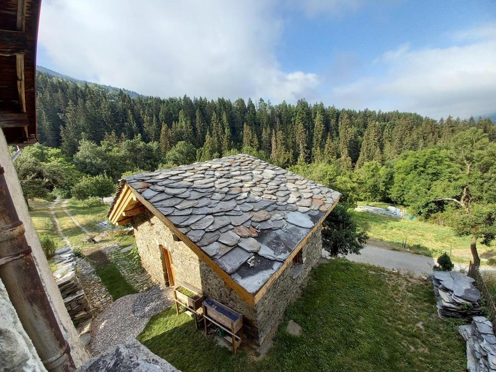 Bourg Saint Maurice Les Arcs - Maisonnette Grand Confort Dans Charmant Village De Montagne ! Eksteriør billede