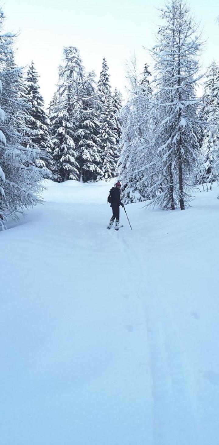 Bourg Saint Maurice Les Arcs - Maisonnette Grand Confort Dans Charmant Village De Montagne ! Eksteriør billede
